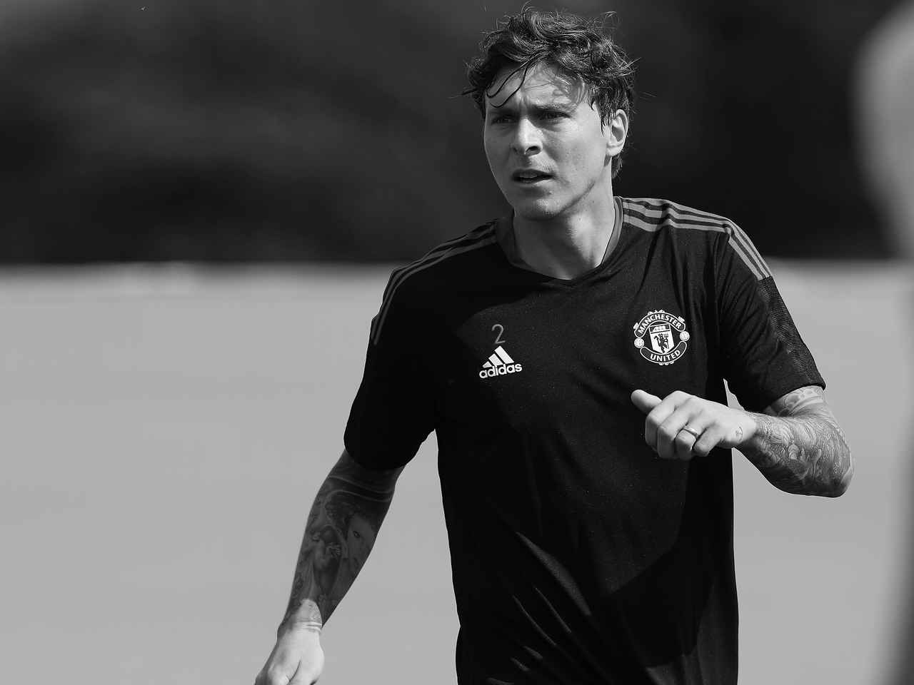 Victor Lindelof