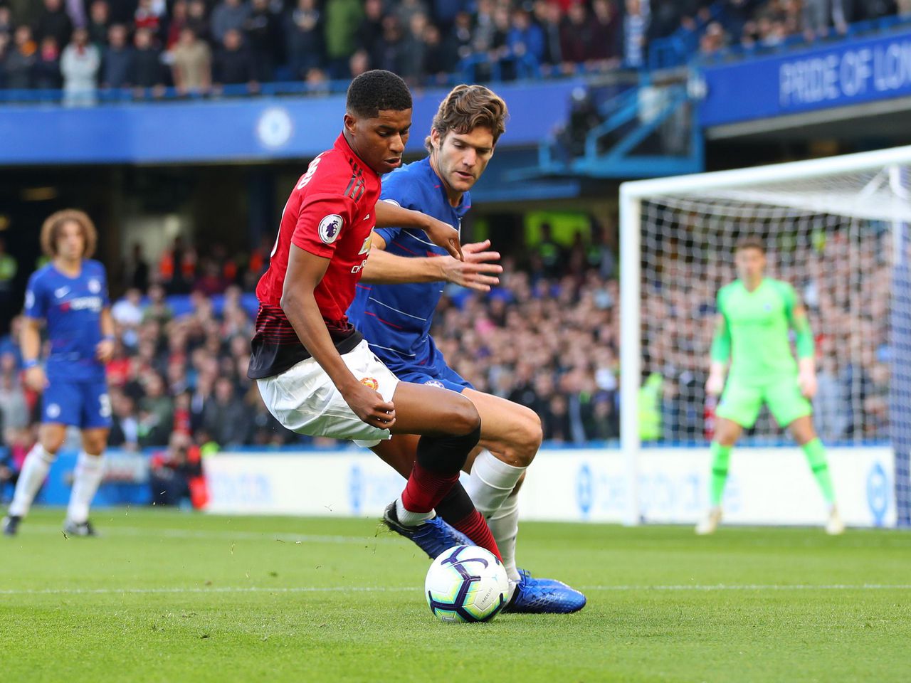 Survet best sale chelsea 2018