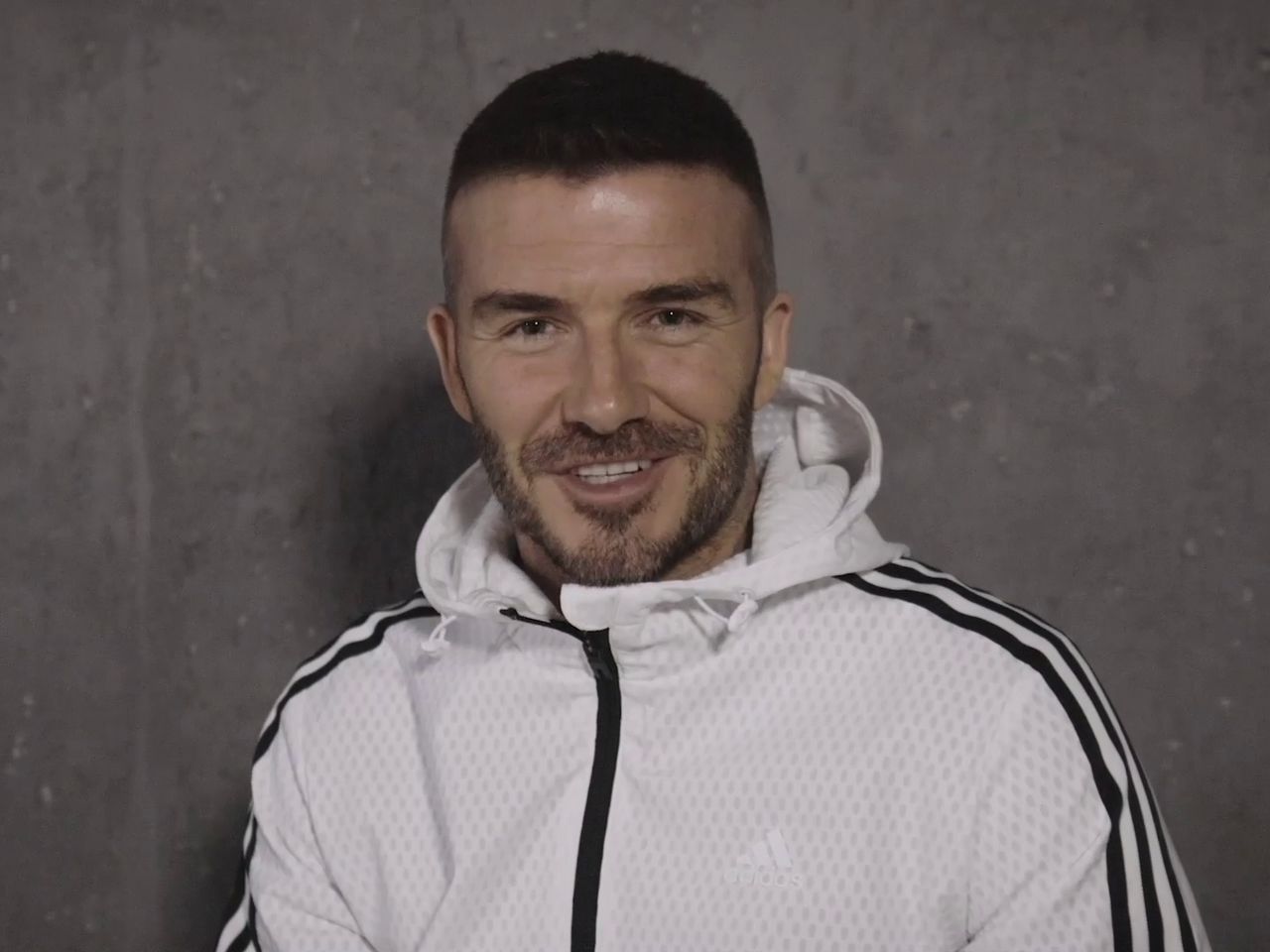 Zne beckham sales