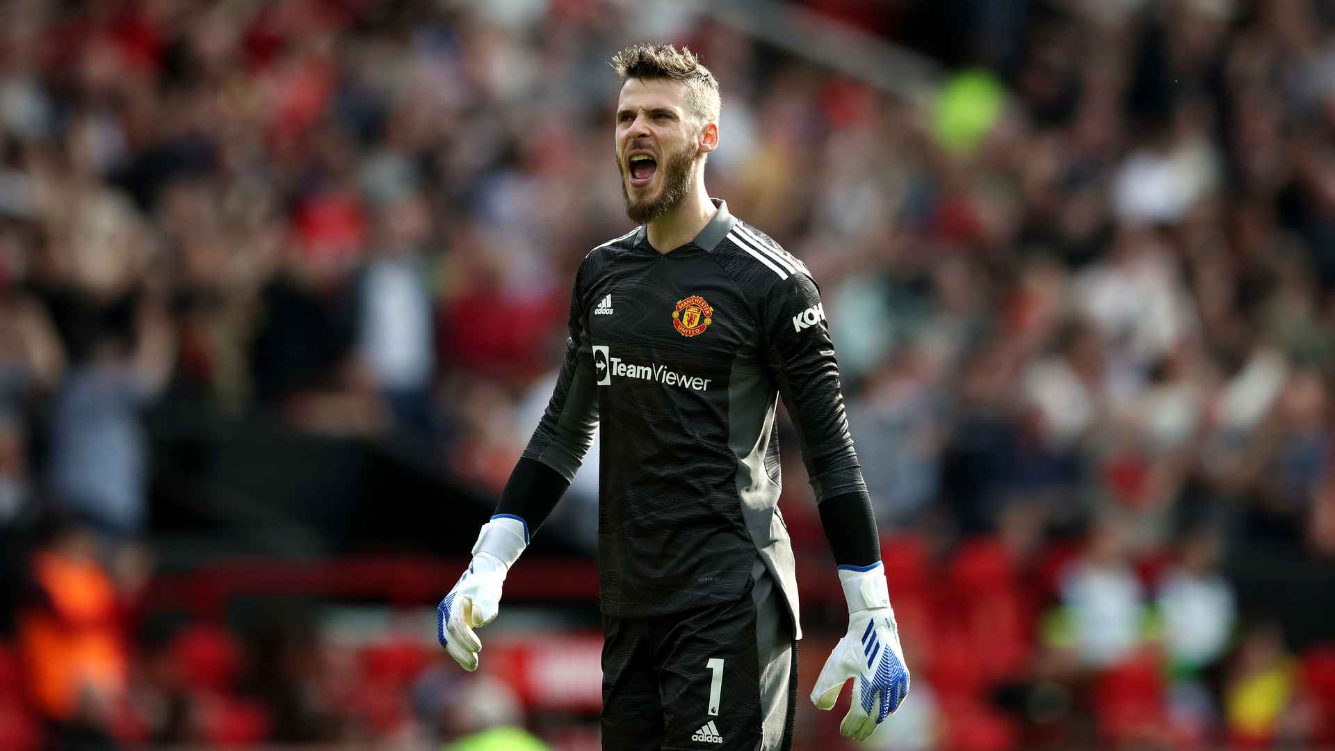 David de Gea РѕР±РѕРё