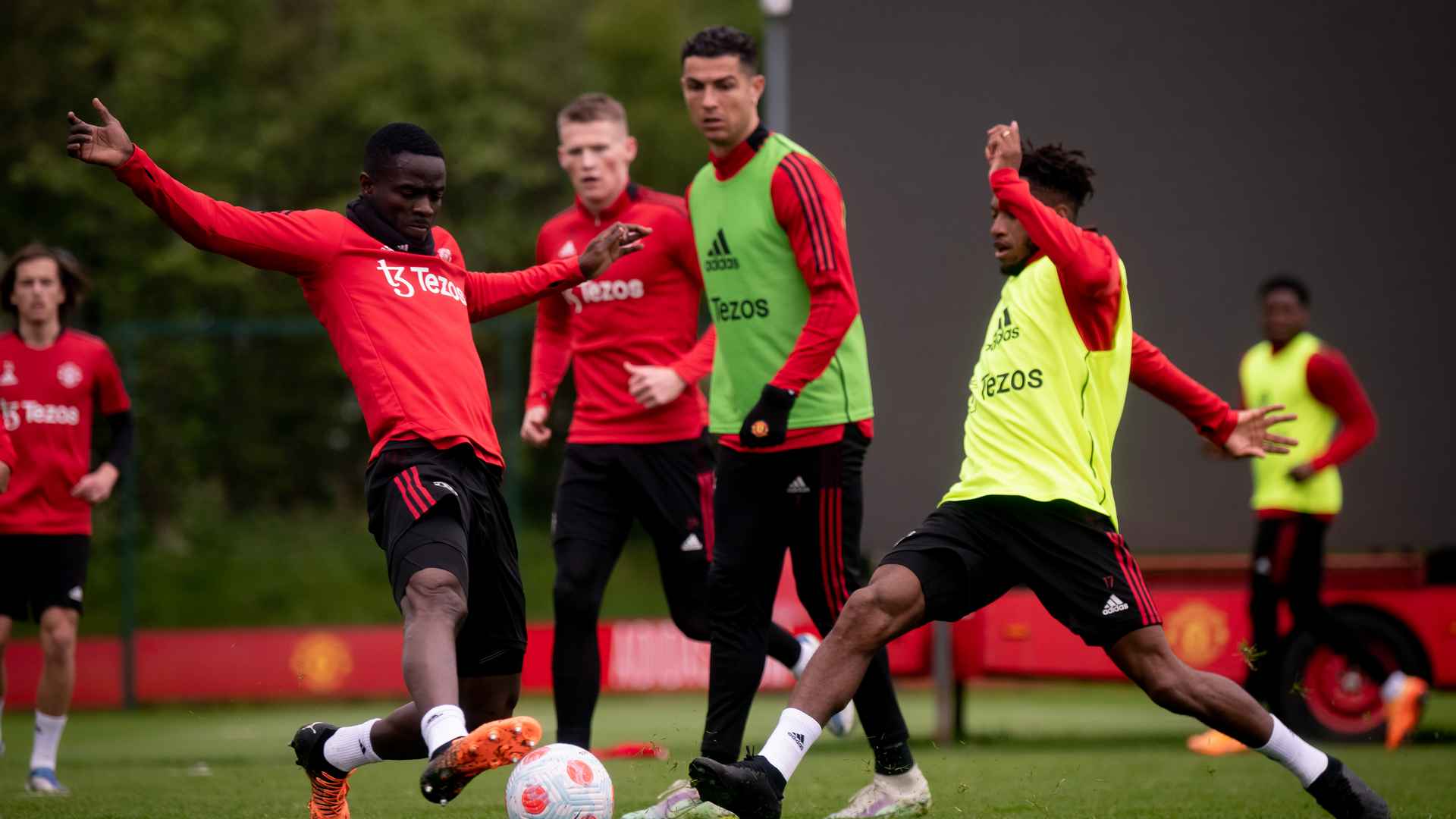  Set for the Seagulls