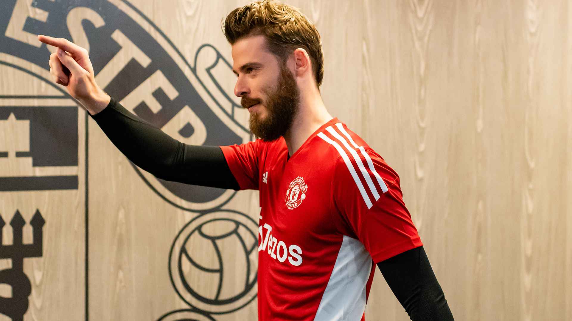 David de Gea РѕР±РѕРё