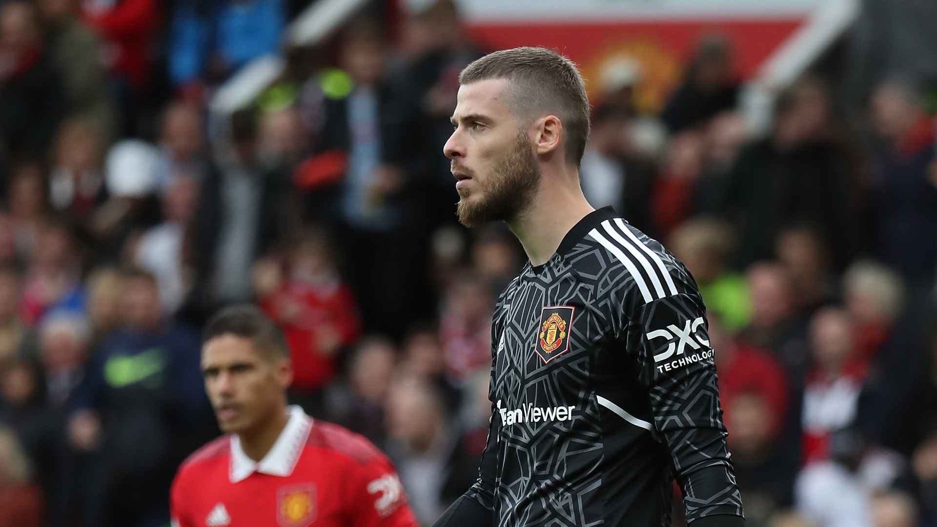 David de Gea РѕР±РѕРё