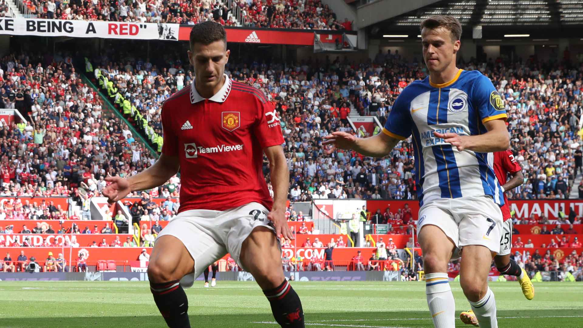 Where can i watch store brighton v man utd