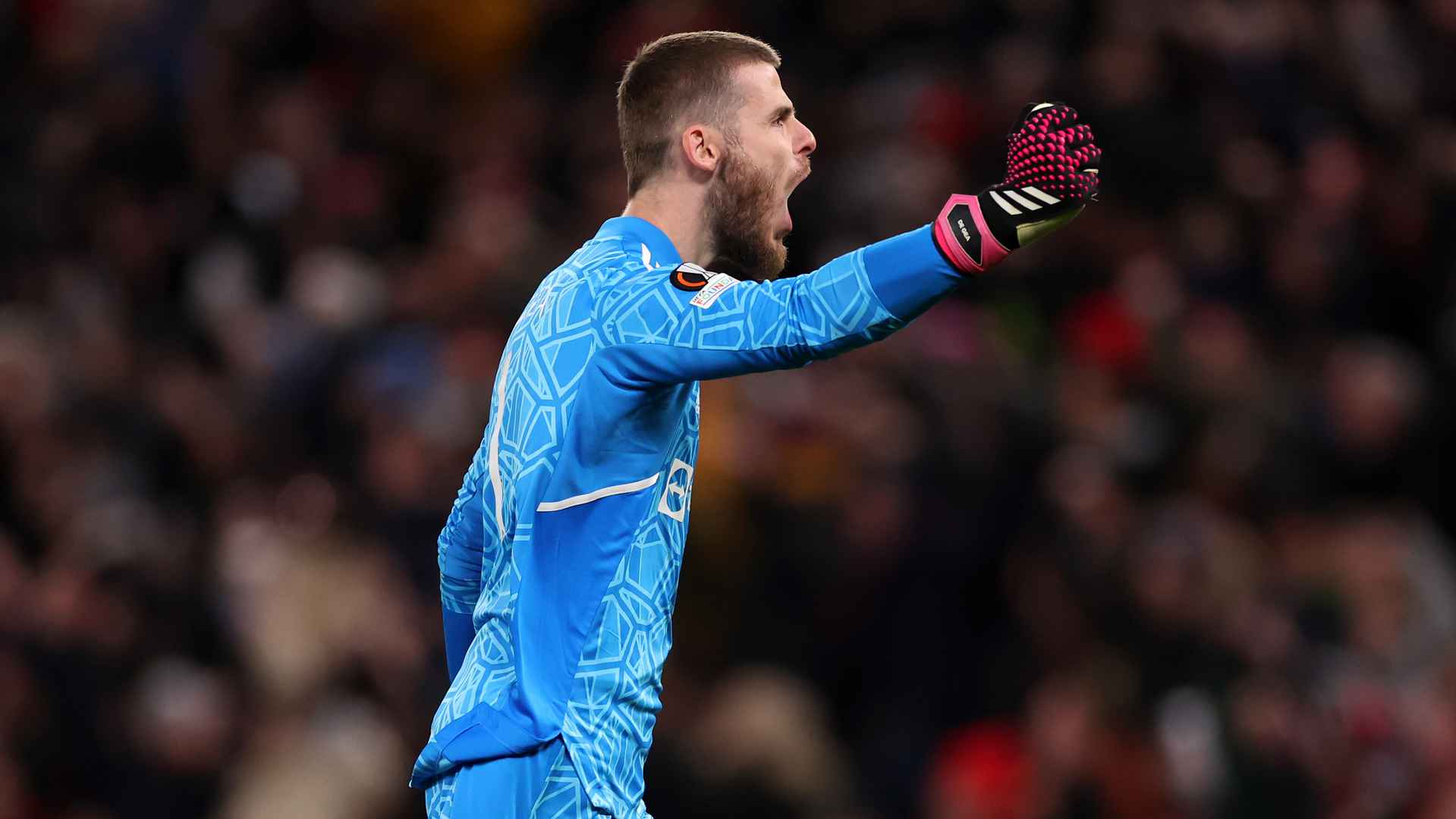 David de Gea РѕР±РѕРё