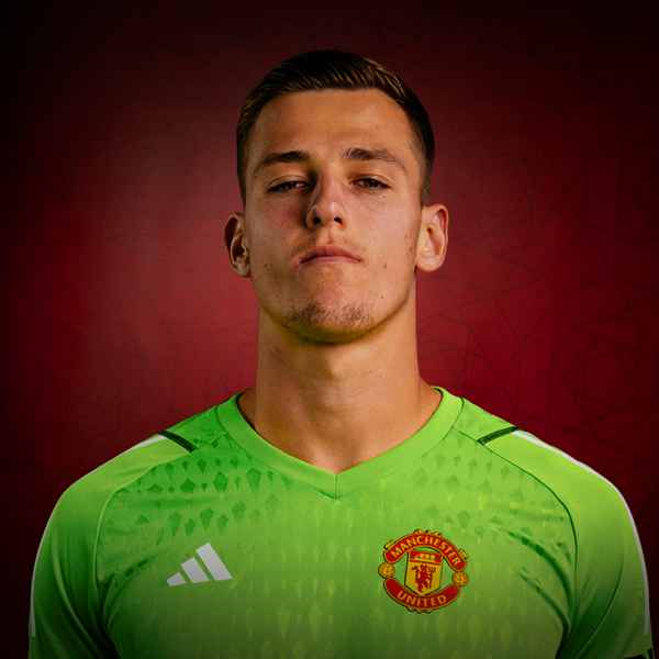Radek-Vitek