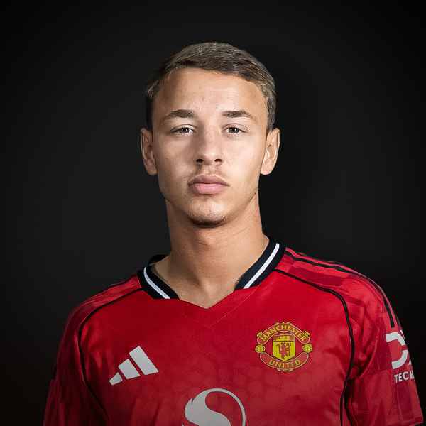 Amir-Ibragimov