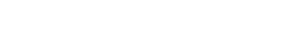 Premier League Summer Series