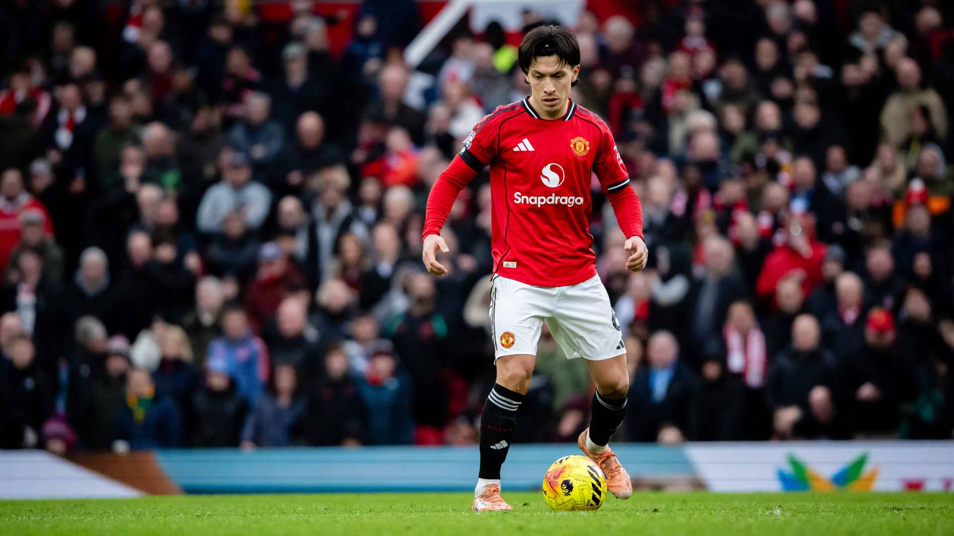 Why Licha isn’t involved at Everton