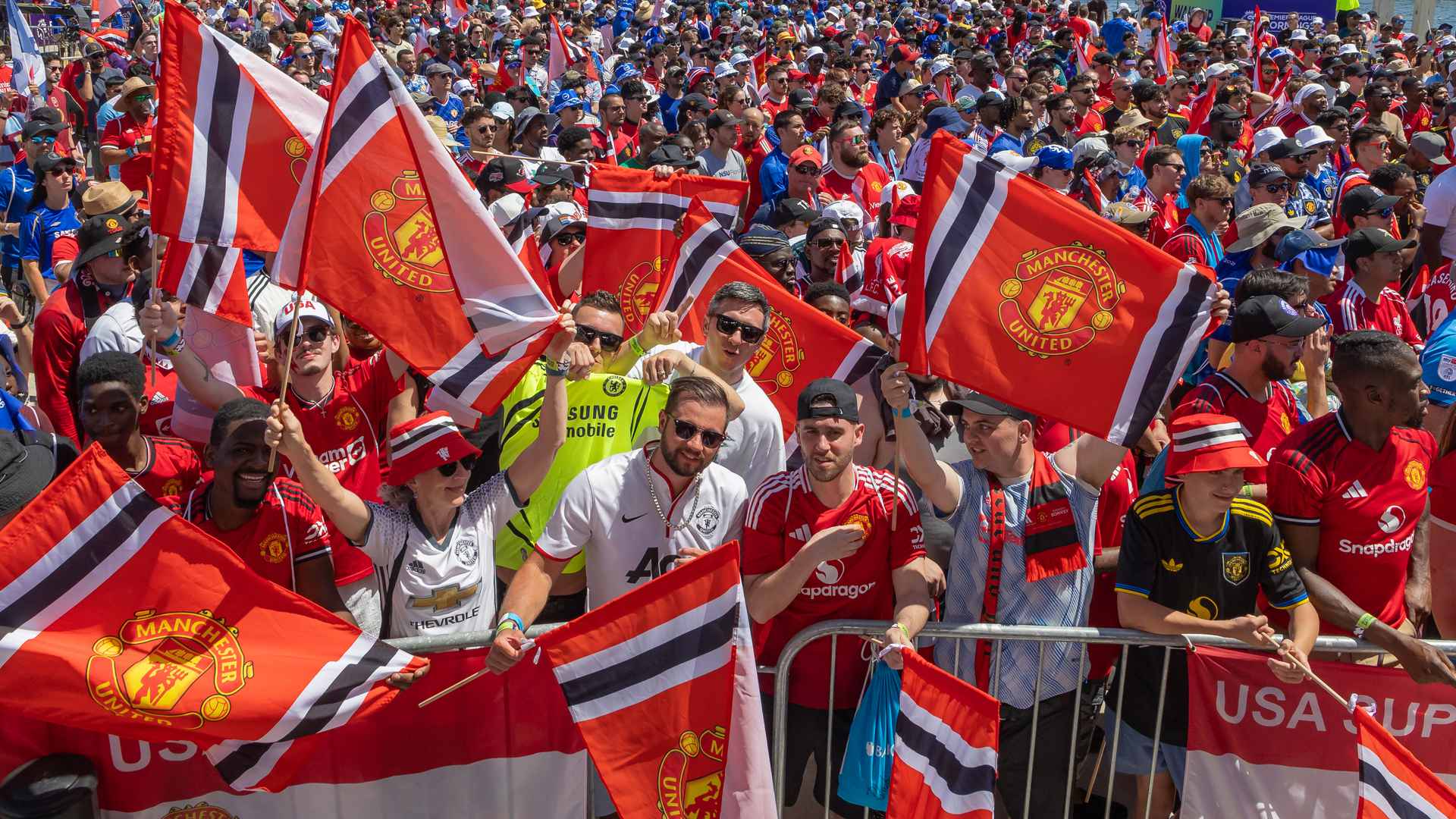 Postcards from Tampa Bay