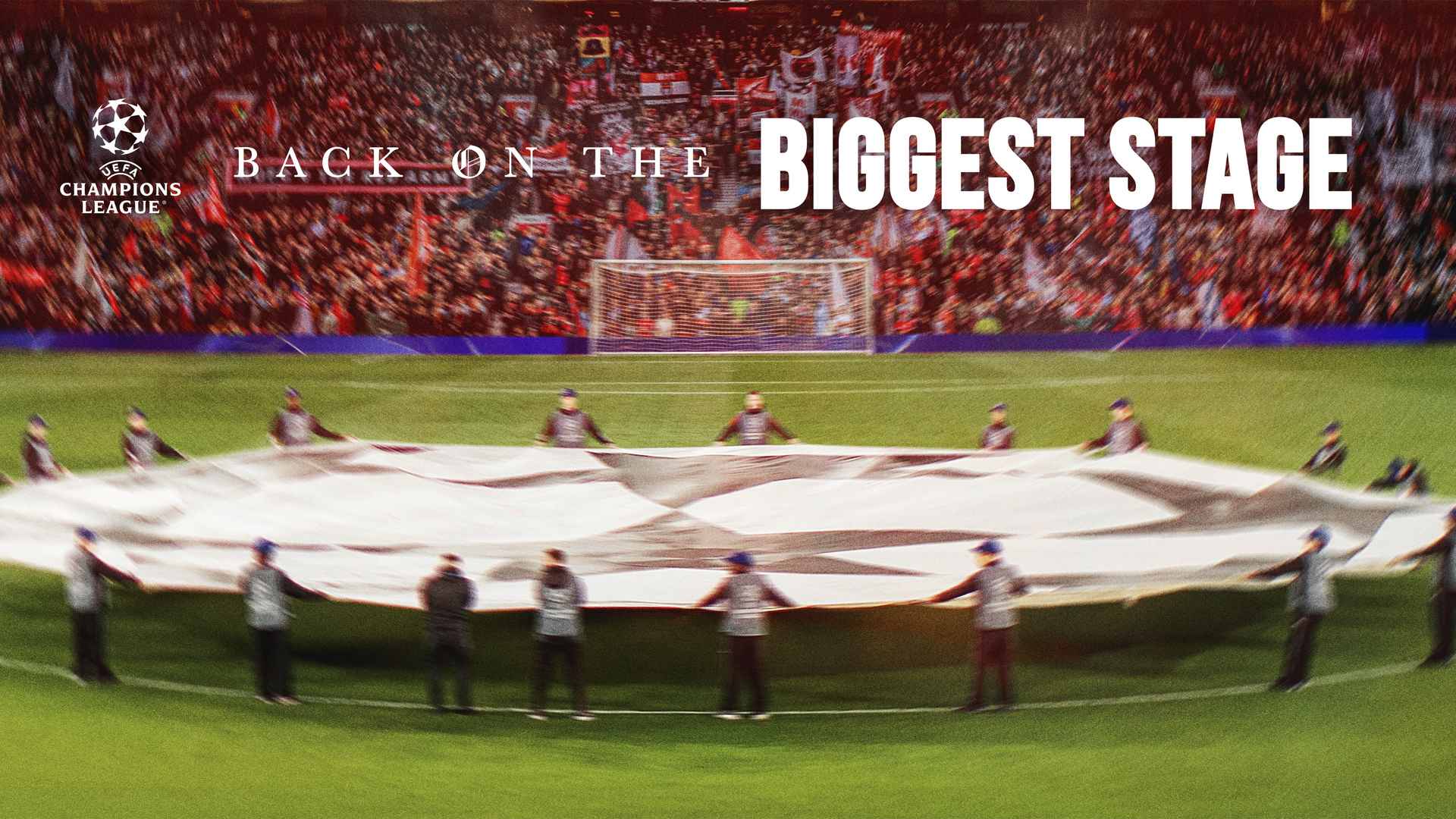 United are back in the Champions League
