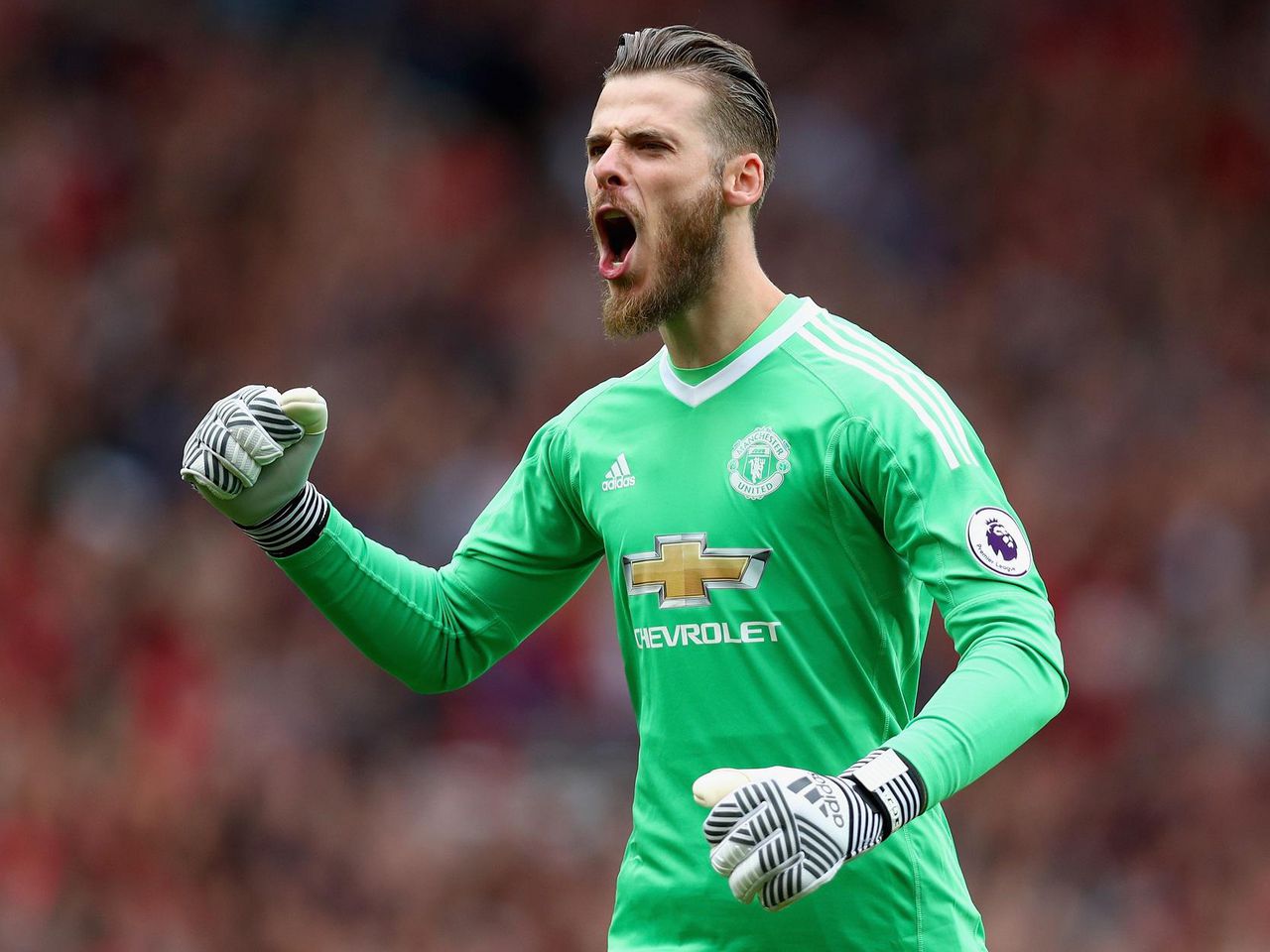 De gea green hotsell kit